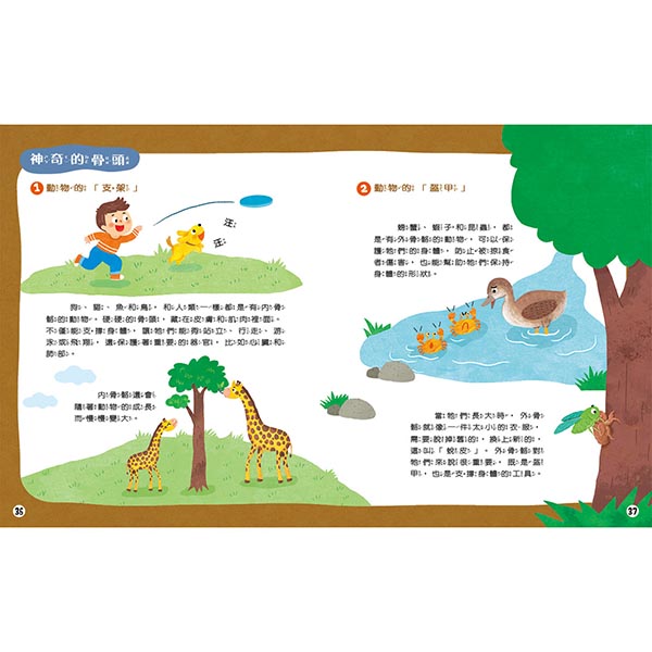 神祕的骨頭照相機