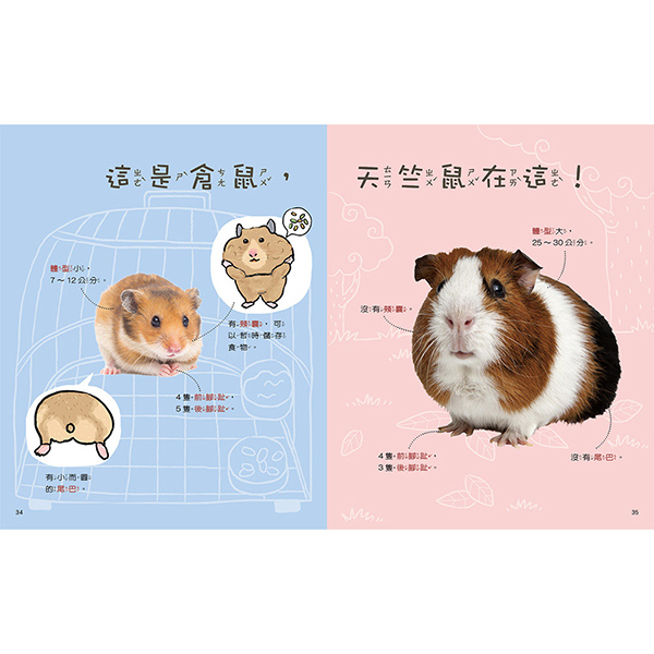 動物比一比1
